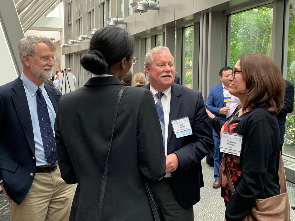 Dr. Patrick Remington, Dr. Ned Calonge, Dr. Elizabeth Neilson, and RADM Erica Schwartz (back to camera)