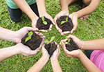 Children's hands holding soil and saplings.