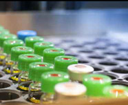 Vials of various vaccinations set in a rack.